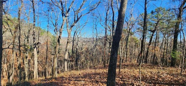 561 Parable Court, Ranger, GA 30734