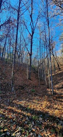 561 Parable Court, Ranger, GA 30734