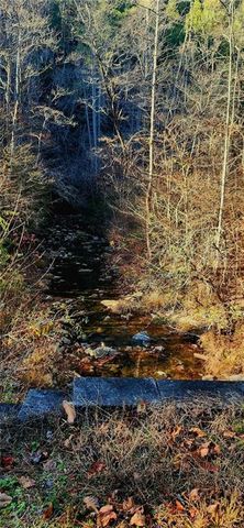 561 Parable Court, Ranger, GA 30734