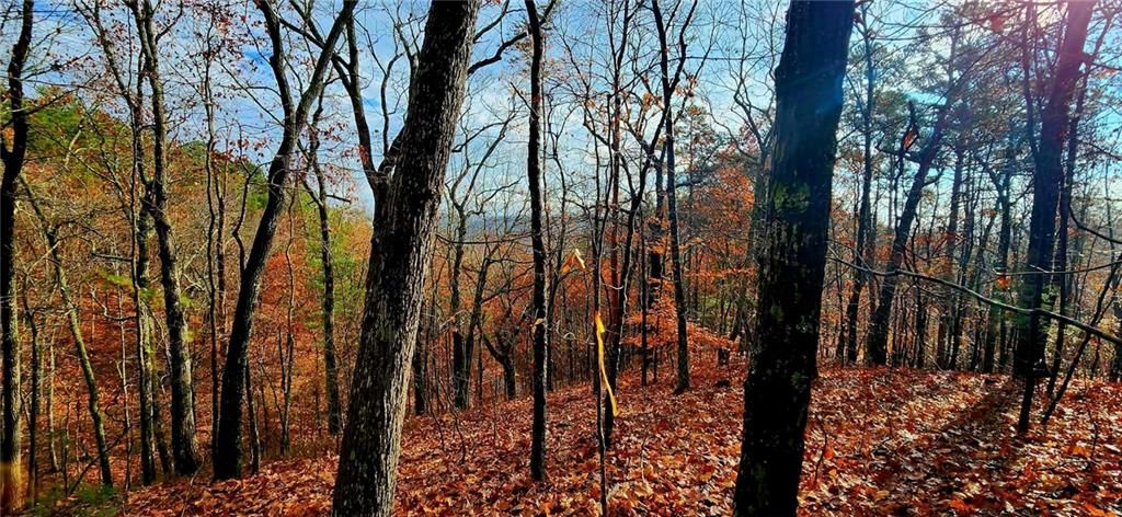 561 Parable Court, Ranger, GA 30734