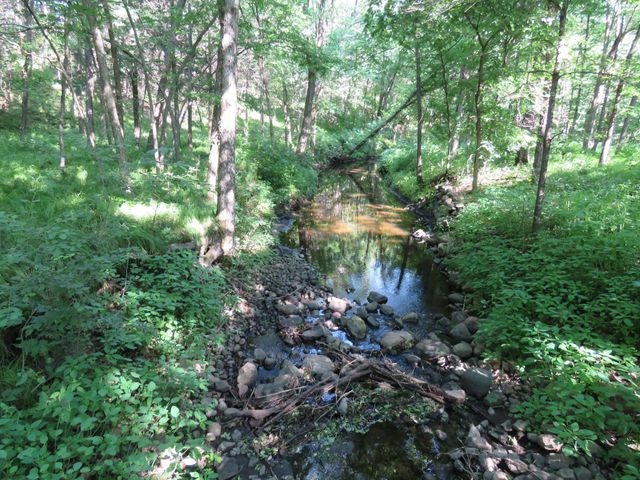 7738 County Road 17, Rice, MN 56367
