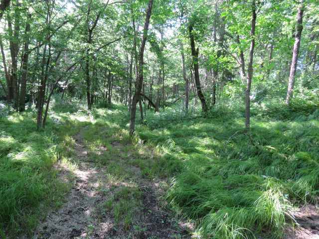 7738 County Road 17, Rice, MN 56367