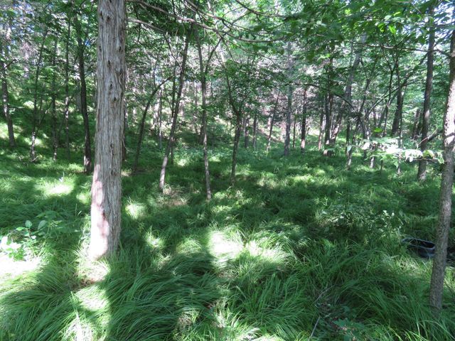 7738 County Road 17, Rice, MN 56367