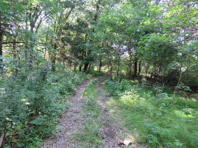 7738 County Road 17, Rice, MN 56367