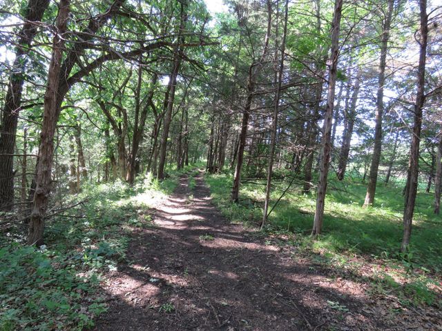7738 County Road 17, Rice, MN 56367