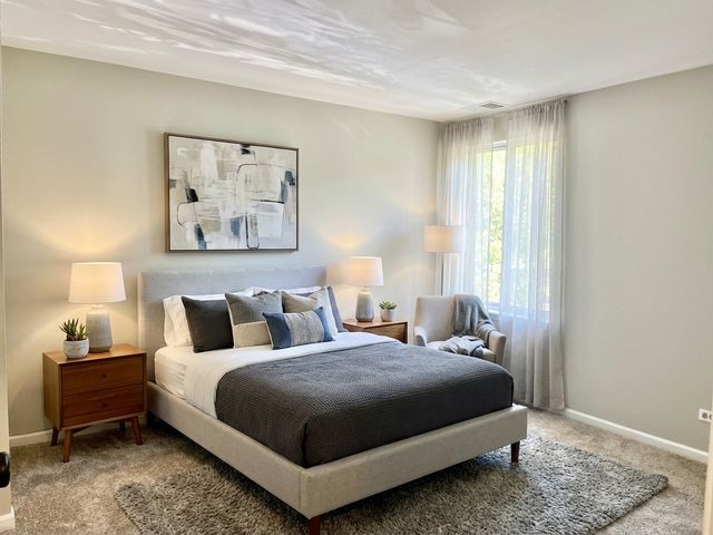 5817 Oakwood Drive D, Lisle, IL 60532