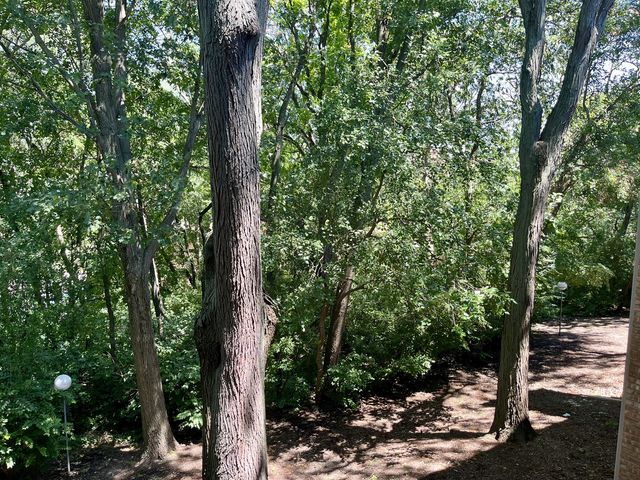 5817 Oakwood Drive D, Lisle, IL 60532