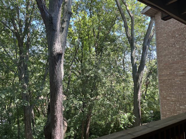 5817 Oakwood Drive D, Lisle, IL 60532