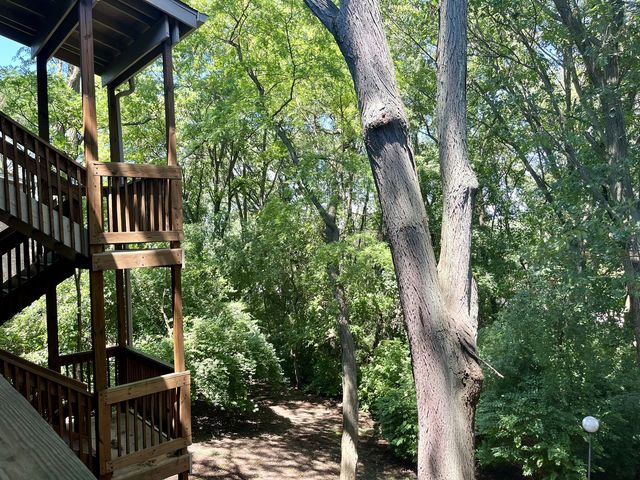 5817 Oakwood Drive D, Lisle, IL 60532