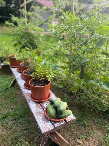 1537 Lake Dunmore Road, Leicester, VT 05733