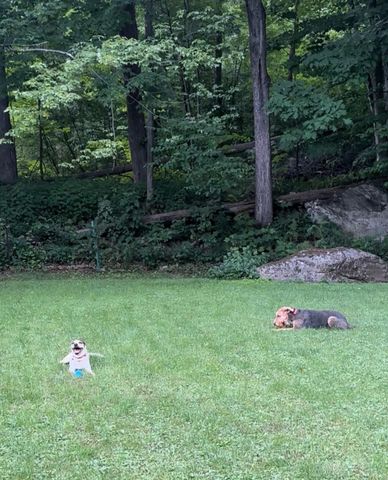 1537 Lake Dunmore Road, Leicester, VT 05733