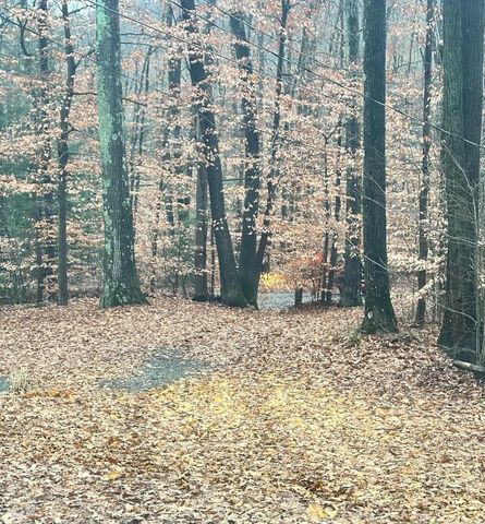 1537 Lake Dunmore Road, Leicester, VT 05733