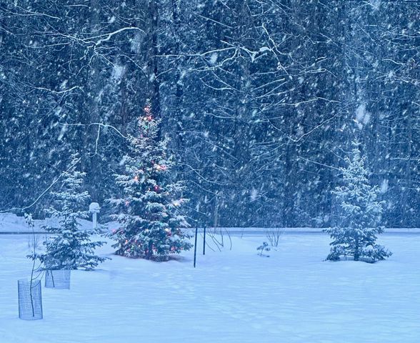 1537 Lake Dunmore Road, Leicester, VT 05733