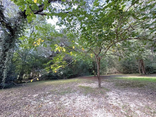 403 N Pitzer Street, Colmesneil, TX 75938