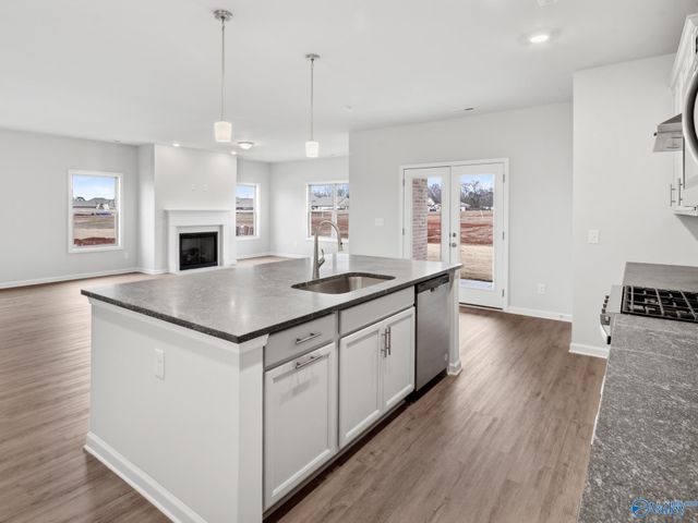 134 Hillis Lane, Hazel Green, AL 35750