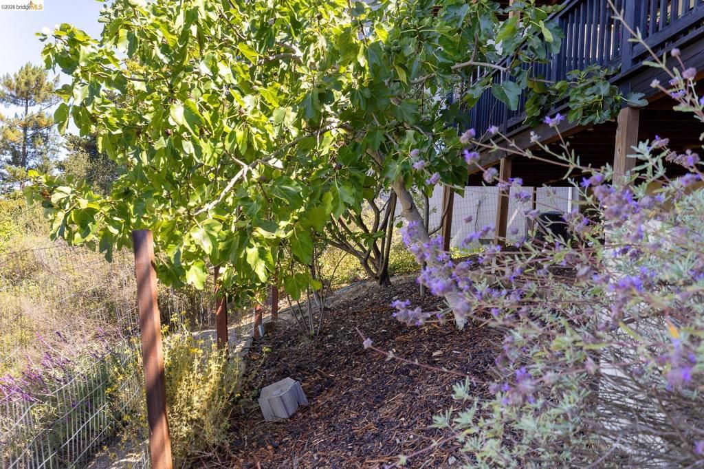 Image 45 of property listing at 6930 Snake Rd, Oakland, CA 94611