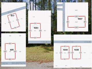 9238 N ATHENIA DRIVE, Citrus Springs, FL 34434