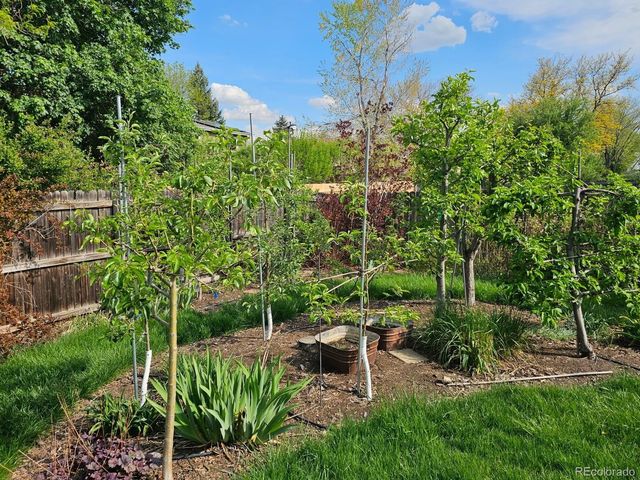 1640 Juniper Street, Longmont, CO 80501