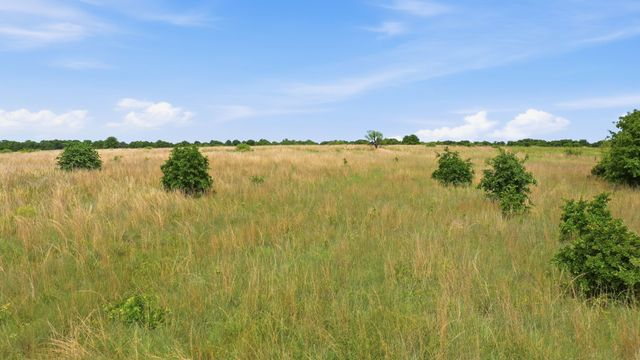 2051 Mustang Ridge, Perrin, TX 76486
