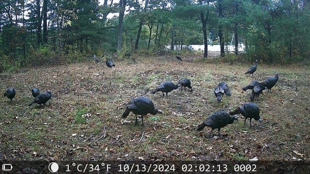 70 Summer Street, Palmer, MA 01079