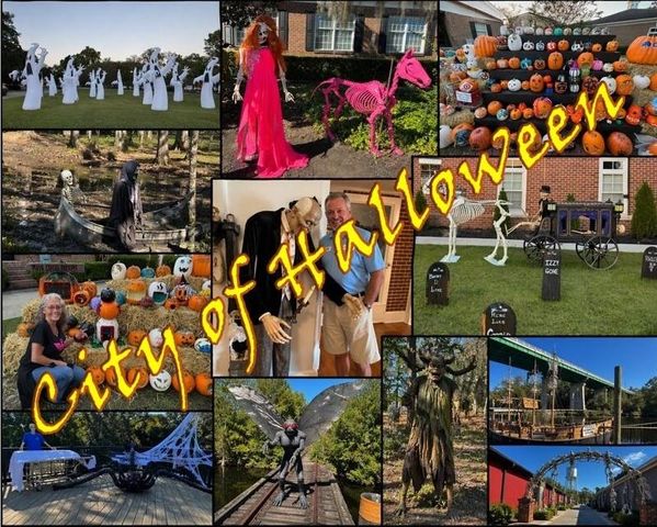 3886 Highway 905, Conway, SC 29526