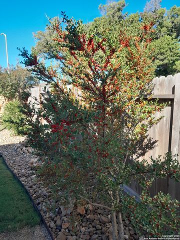 645 Jaboncillo, New Braunfels, TX 78132