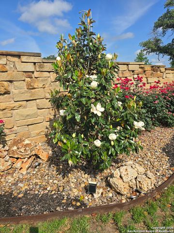 645 Jaboncillo, New Braunfels, TX 78132