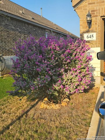 645 Jaboncillo, New Braunfels, TX 78132