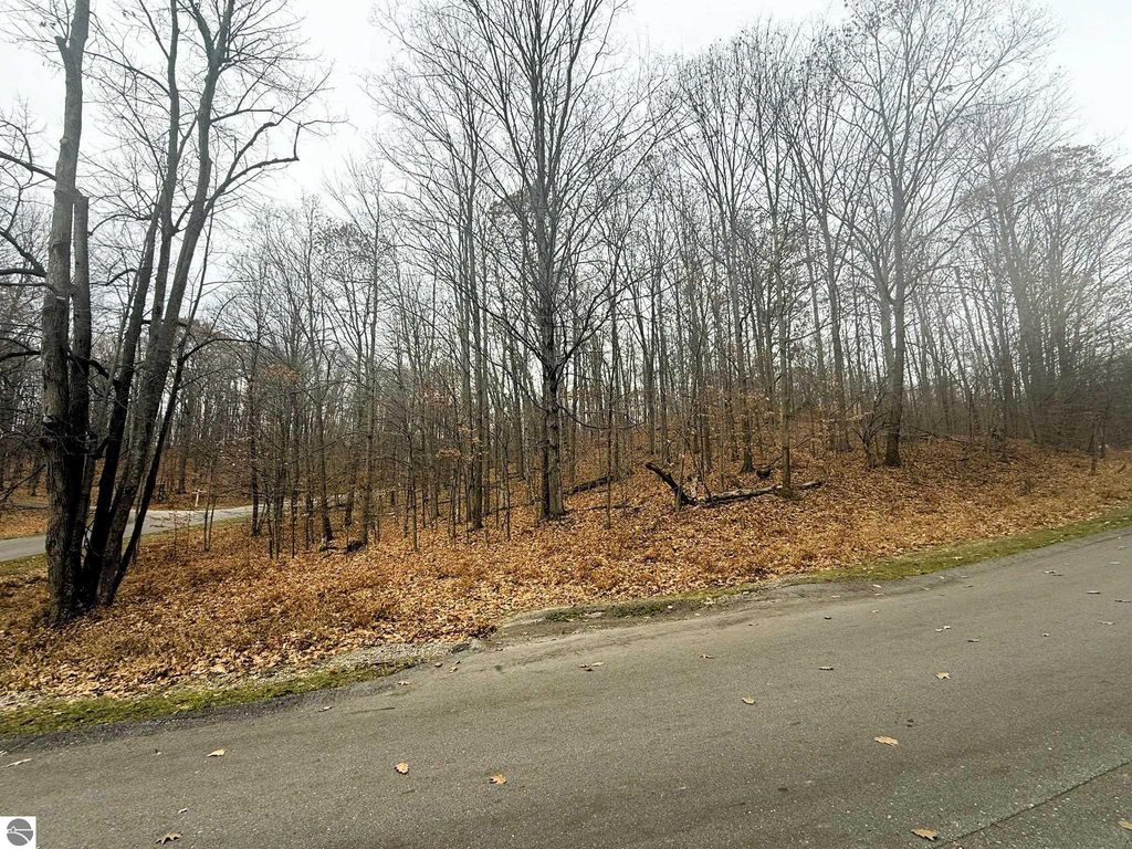 Image 3 of property listing at Lot 57 Valley Run, Bellaire, MI 49615