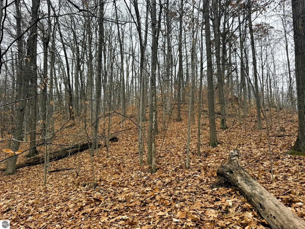 Image 4 of property listing at Lot 57 Valley Run, Bellaire, MI 49615