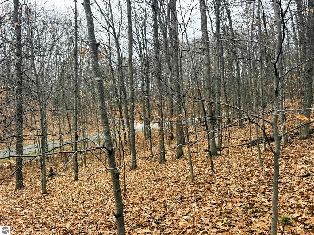 Image 5 of property listing at Lot 57 Valley Run, Bellaire, MI 49615
