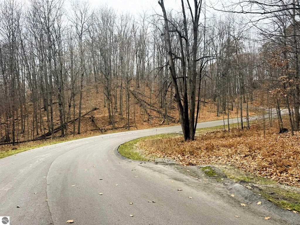 Image 7 of property listing at Lot 57 Valley Run, Bellaire, MI 49615