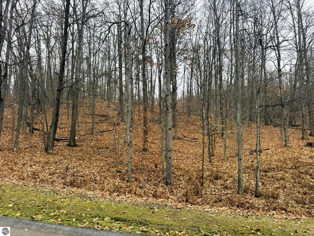 Image 8 of property listing at Lot 57 Valley Run, Bellaire, MI 49615