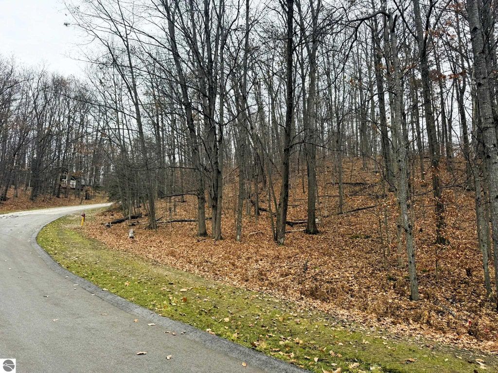 Image 9 of property listing at Lot 57 Valley Run, Bellaire, MI 49615