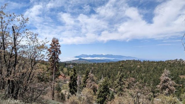 0 San Antonio, Green Valley Lake, CA 92341