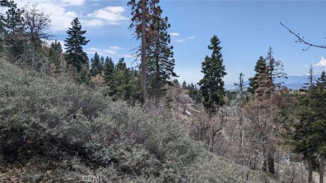 0 San Antonio, Green Valley Lake, CA 92341