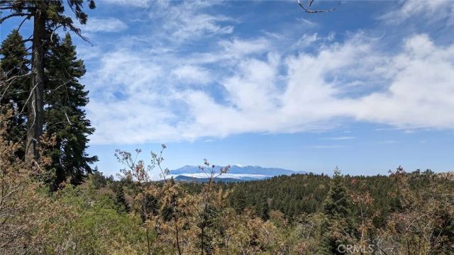 0 San Antonio, Green Valley Lake, CA 92341