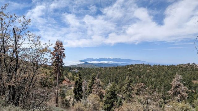0 San Antonio, Green Valley Lake, CA 92341