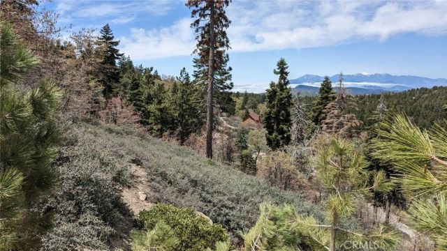 0 San Antonio, Green Valley Lake, CA 92341