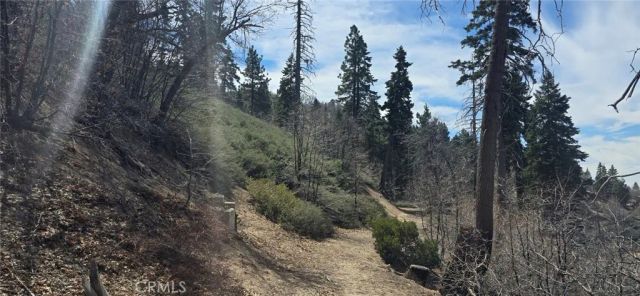 0 San Antonio, Green Valley Lake, CA 92341
