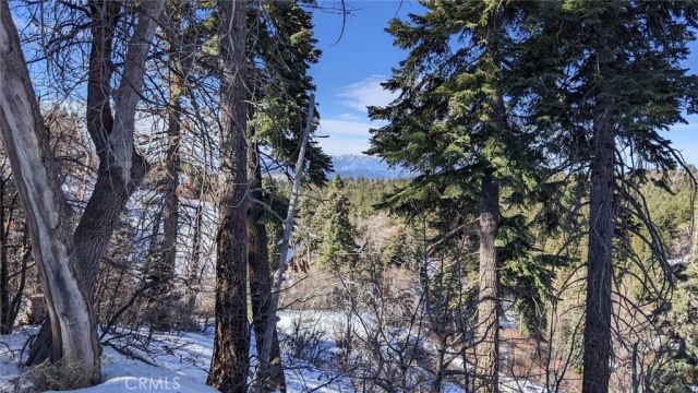 0 San Antonio, Green Valley Lake, CA 92341