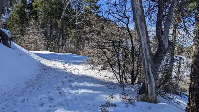 0 San Antonio, Green Valley Lake, CA 92341