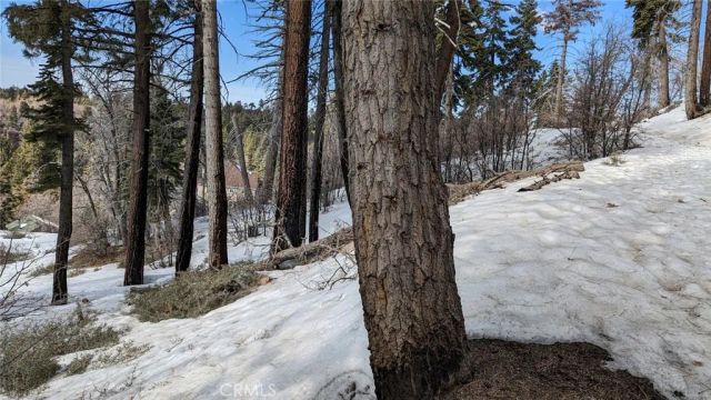 0 San Antonio, Green Valley Lake, CA 92341