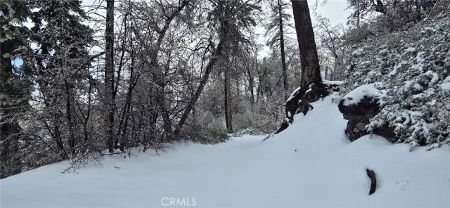 0 San Antonio, Green Valley Lake, CA 92341