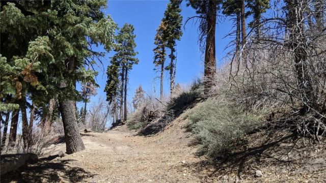 0 San Antonio, Green Valley Lake, CA 92341