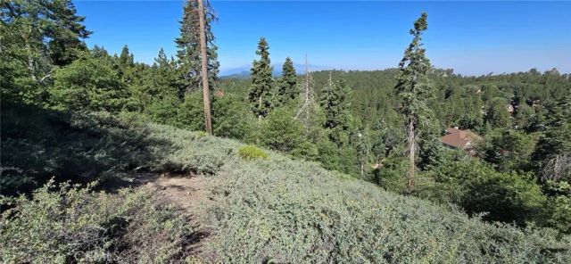 0 San Antonio, Green Valley Lake, CA 92341