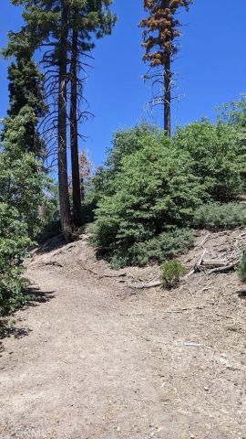 0 San Antonio, Green Valley Lake, CA 92341