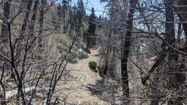 0 San Antonio, Green Valley Lake, CA 92341