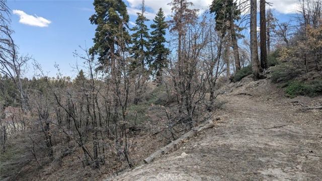 0 San Antonio, Green Valley Lake, CA 92341