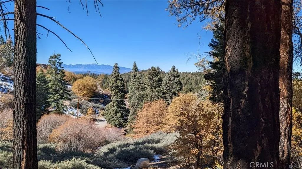 0 San Antonio, Green Valley Lake, CA 92341